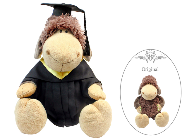 Florist Gift - Nici Graduation Doll - Brown Sheep  - L177511 Photo